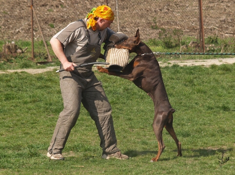 Training 4. 4. 2007